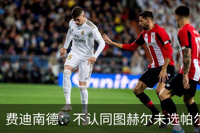 费迪南德：不认同图赫尔未选帕尔默的决定，后者在大赛证明过自己
