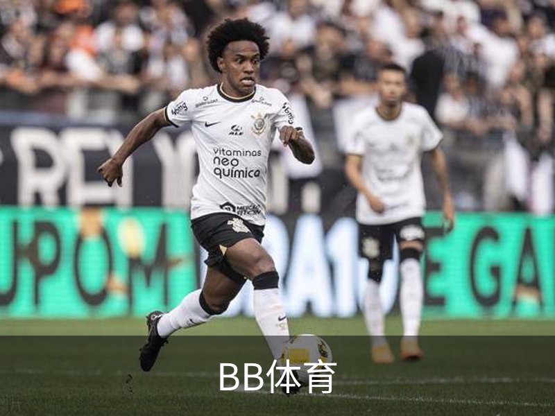 关于BB体育